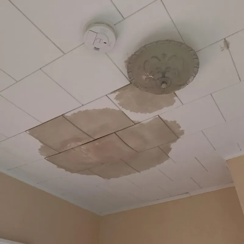 Ceiling Water Damage Repair in Marion County, IA
