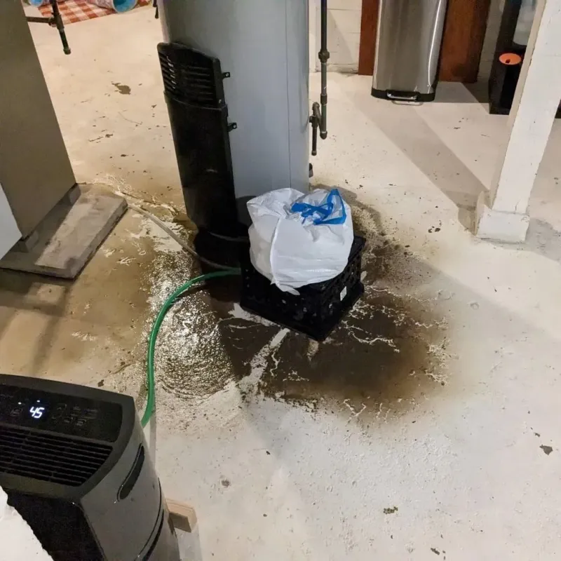 Sewage Backup Cleanup Service in Marion County, IA
